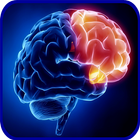 آیکون‌ Neurology Basics