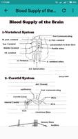 Neurology Basics screenshot 1