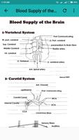 برنامه‌نما Neurology Basics عکس از صفحه