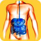 Gastroenterology Basics icône