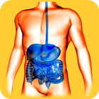 Gastroenterology Basics ícone