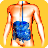 Gastroenterology Basics icône