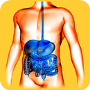 Gastroenterology Basics APK