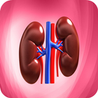 Nephrology Basics ícone