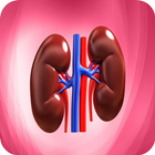 Nephrology Basics icon