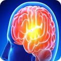 Memory Boosting Tips