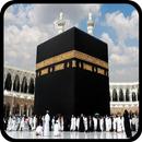 Hajj & Umrah Guide 2018 APK