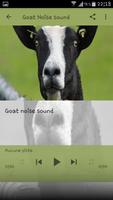 ABC Songs with Sounds for Kids imagem de tela 1