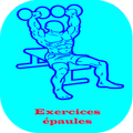 Exercices de Musculation pour les Épaules