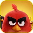 Angry Bird Wallpaper biểu tượng