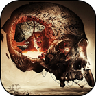 Skull Wallpaper icono