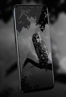 Owl Wallpaper ảnh chụp màn hình 1