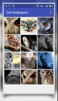 Owl Wallpaper syot layar 2