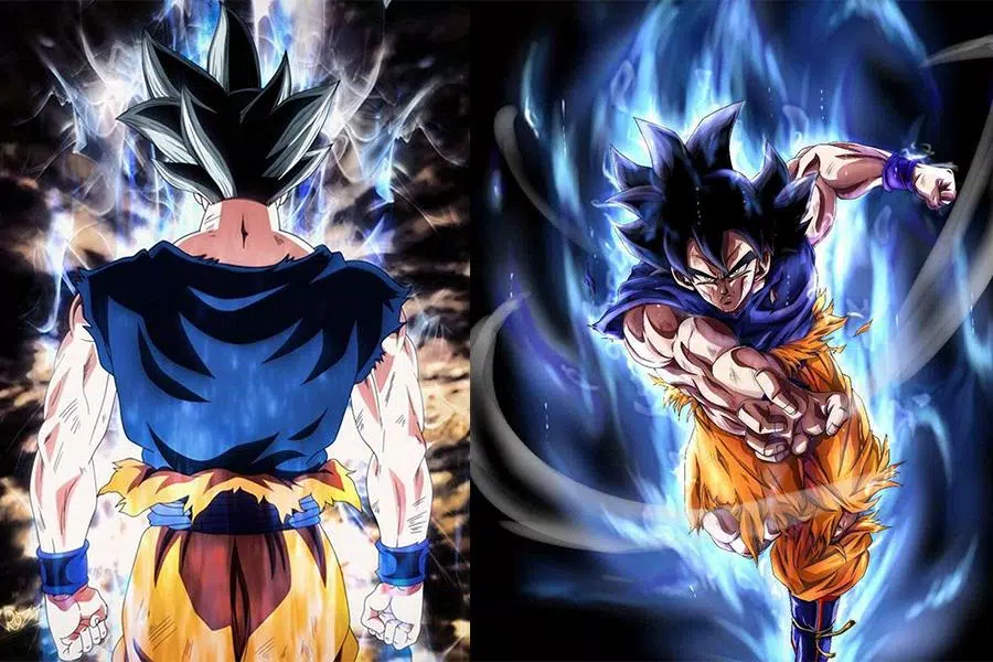 Wallpaper dragon ball z, ultra instinct, fan art desktop wallpaper