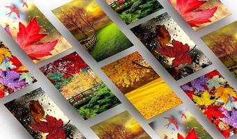 Autumn Wallpaper imagem de tela 1