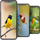 Bird Wallpapers HD иконка