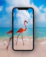 Bird Wallpapers HD скриншот 3