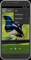 برنامه‌نما Latest Bird Chirping عکس از صفحه