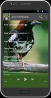 Latest Bird Chirping syot layar 2