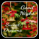 Good Night Wishes ícone