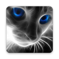 Cat Wallpapers 3d