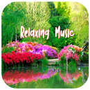 music rilek menenangkan jiwa APK