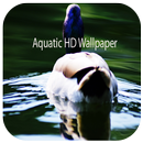 Aquatic Wallpaper HD APK