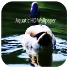 Aquatic Wallpaper HD ไอคอน