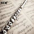 Flute lessons