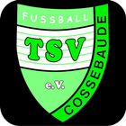 TSV Cossebaude Nachwuchs ícone