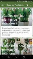 Cuida tus Plantas de Interiores постер
