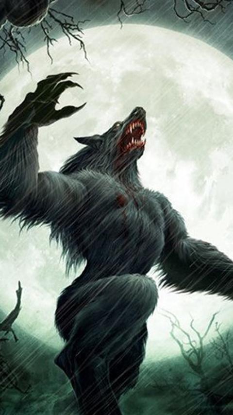 Featured image of post Werewolf Wallpaper For Android Free werewolf wallpapers for android