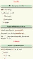 Poster Anatomy Mcqs and Mnemonics