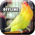 Masteran Lovebird - Offline Mp3 アイコン