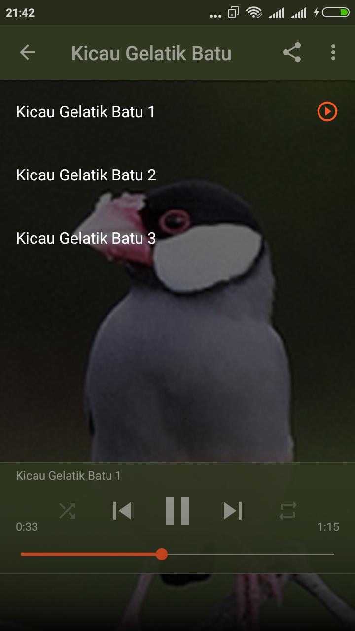 Kicau Burung Gelatik Offline For Android Apk Download