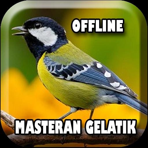 Kicau Burung Gelatik Offline For Android Apk Download