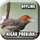 Masteran Prenjak Mp3 Offline ikon