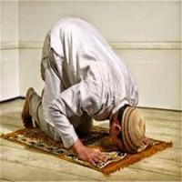 CARA SOLAT ISTIKHARAH скриншот 2