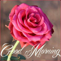 Good Morning Wishes.