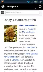 Baixar Search Engine APK