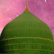 Mawlid Al-Daiba'i