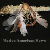 Native American News icône
