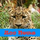 Zoo News APK