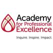 Academy for Professional Excel