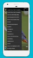 ALL BIRDSINGER syot layar 1