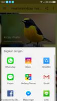 Masteran Kicau Murai Offline capture d'écran 1