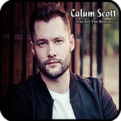 Calum Scott You Are The Reason Mp3 Songs For Android Apk Download