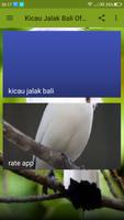 Kicau Jalak Bali Offline imagem de tela 2