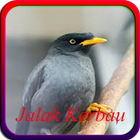 Master Kicau Jalak Kebo icon