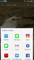 Masteran Kicau Burung Jalak screenshot 2